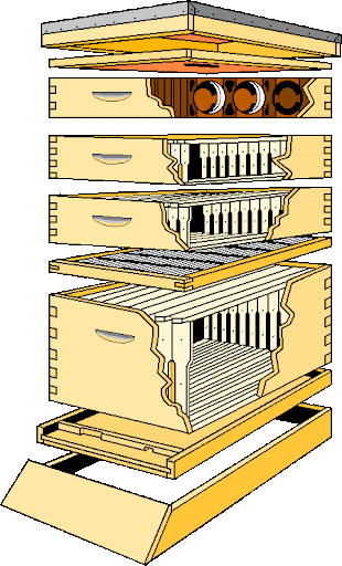 diagram box sizes for beekeeping idea wsp langstroth full depth