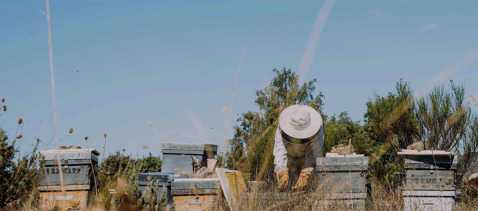 For & By Beekeepers