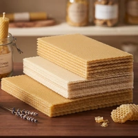 Foundation Bees Wax-Ideal Size