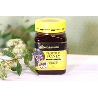 Propolis Honey