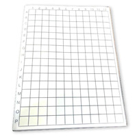 Disposable Sticky Mat | With Screen-Varroa Detection