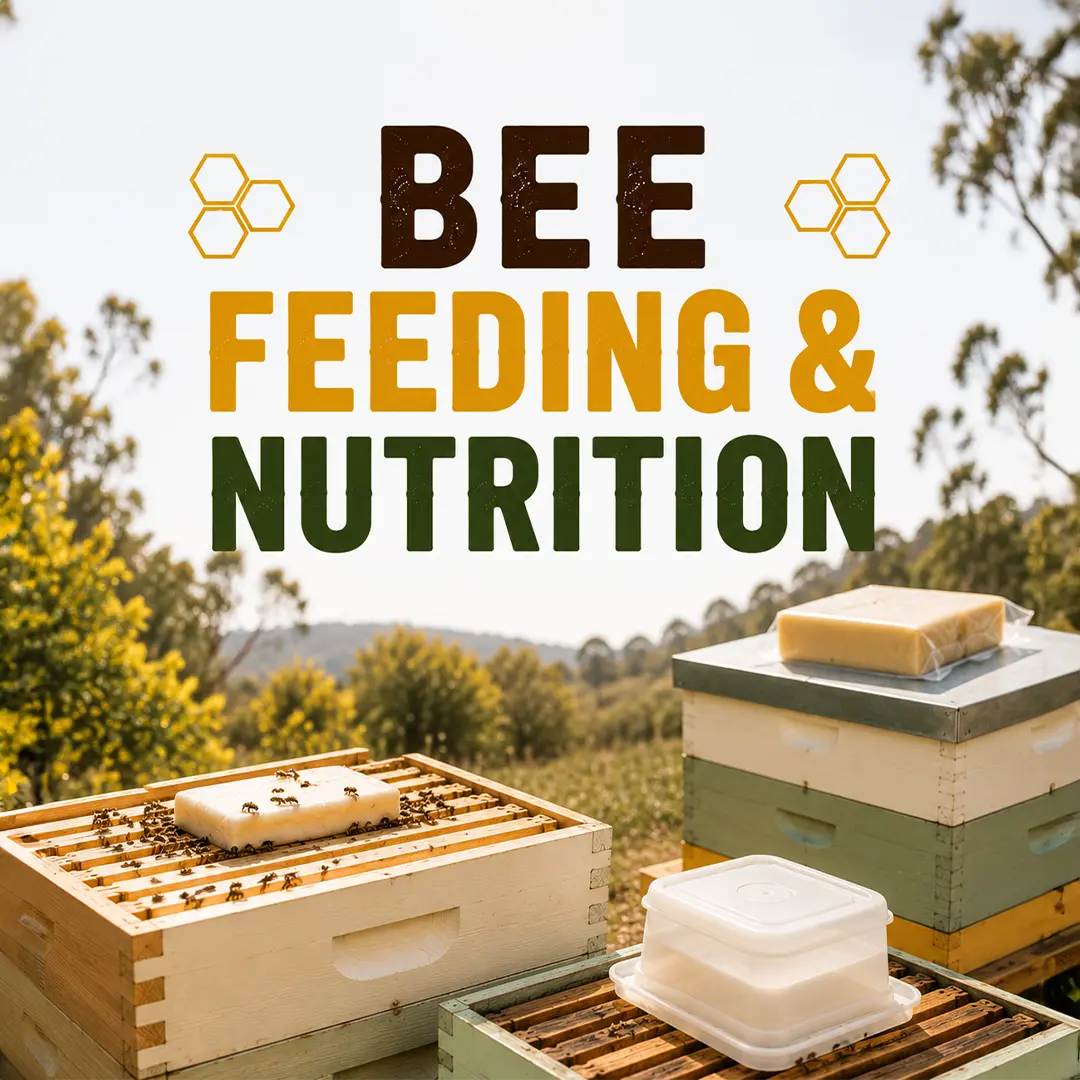 Bee Feeding & Nutrition