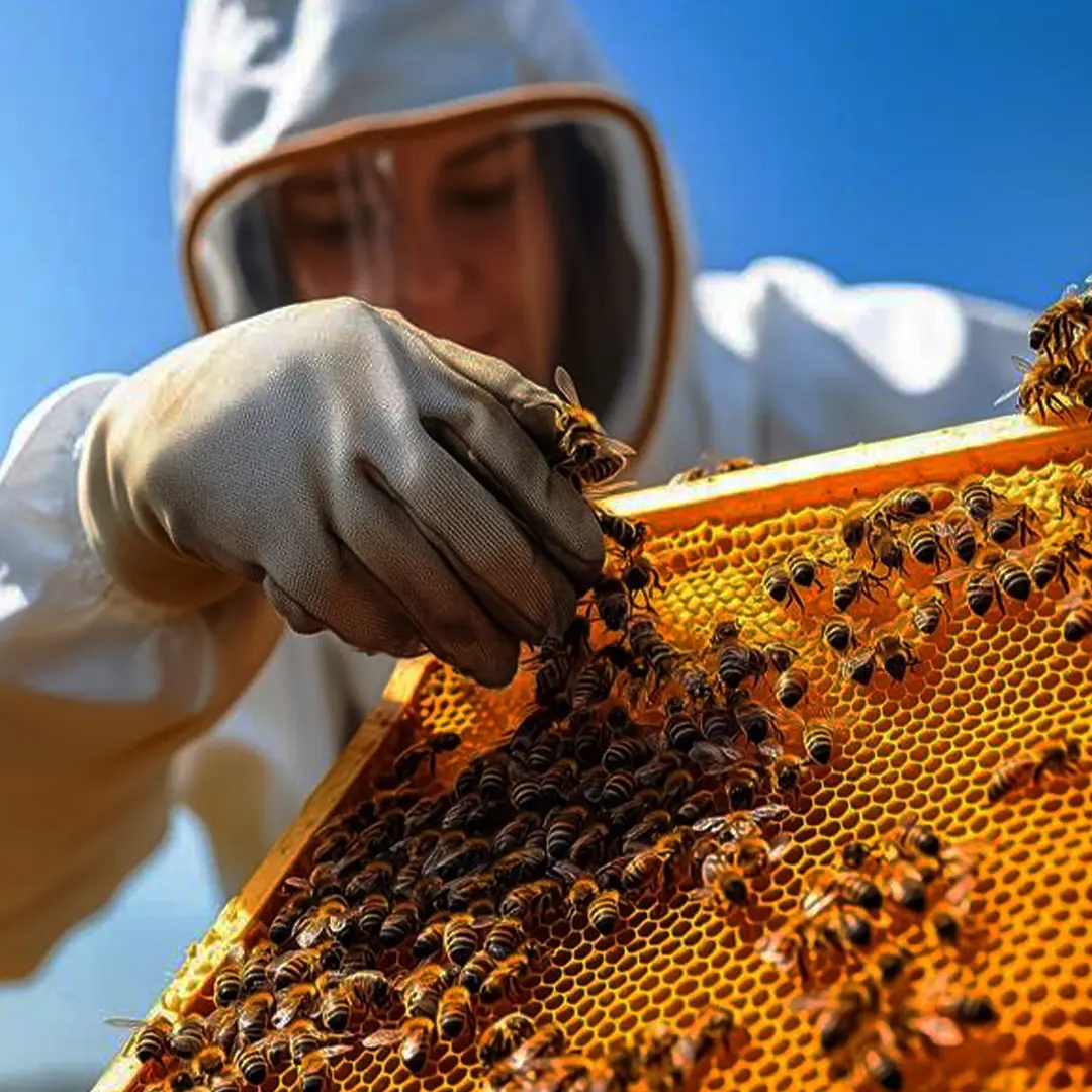 What Is Beekeeping? A Complete Beginner Overview